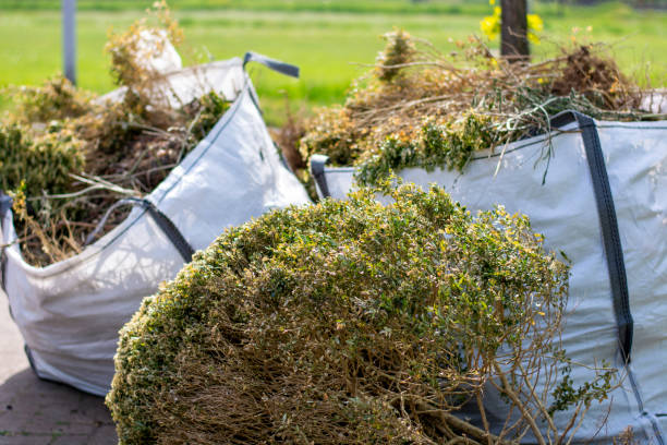 Best Basement Cleanout Services  in Georgiana, AL